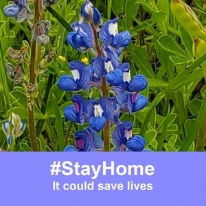 Meet your Posher, Carmen